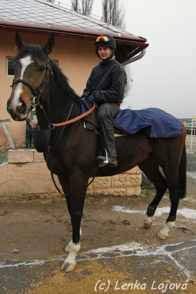 IMGP8290.jpg