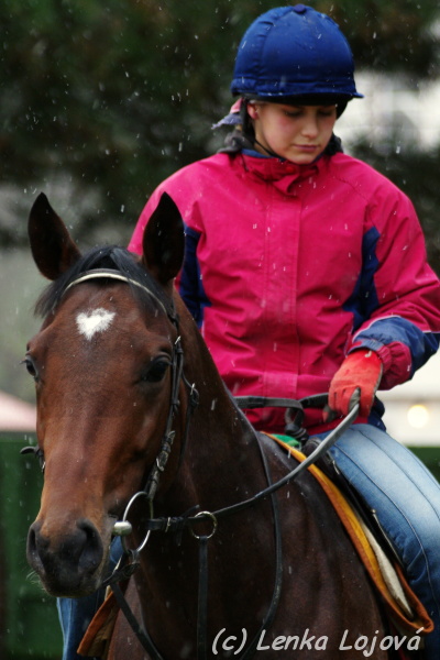 IMGP8409.jpg
