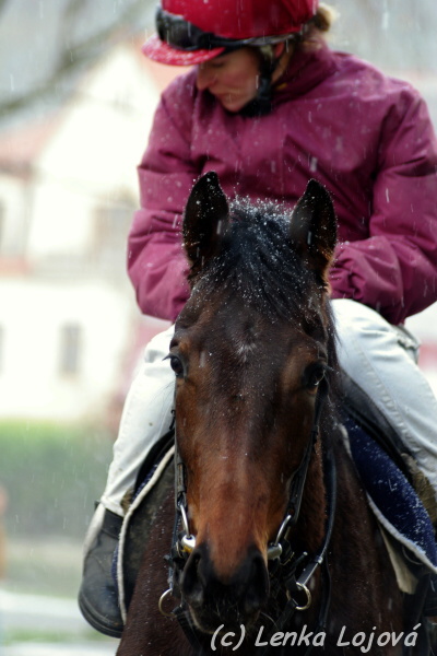 IMGP8436.jpg