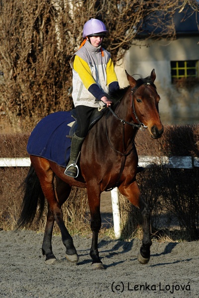 IMGP0886.jpg
