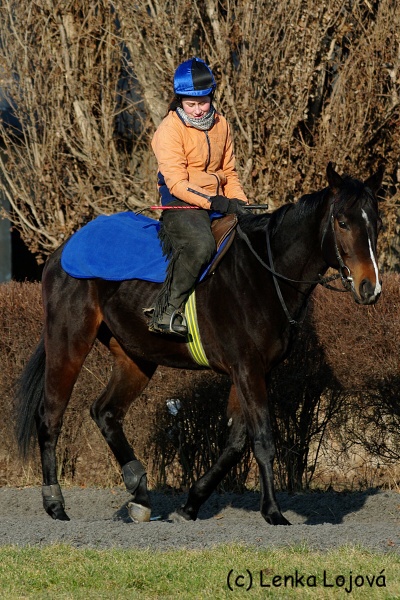IMGP0916.jpg