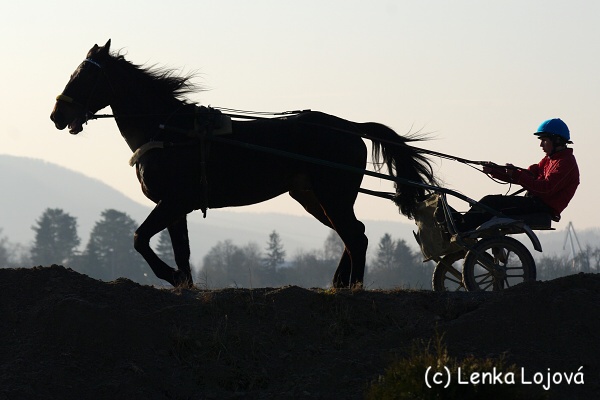 IMGP0922.jpg