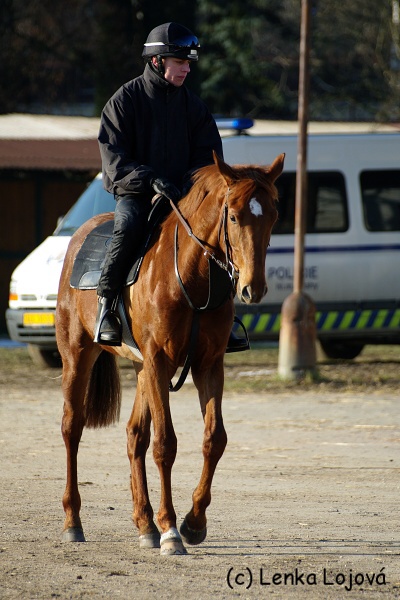 IMGP0928.jpg