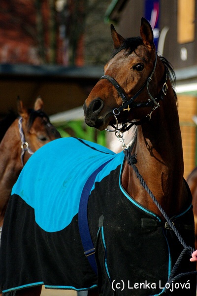 IMGP1036.jpg