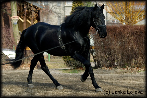 IMGP1228.jpg