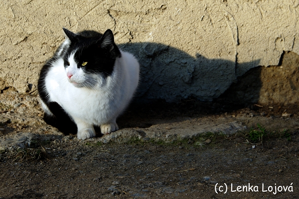 IMGP0871.jpg
